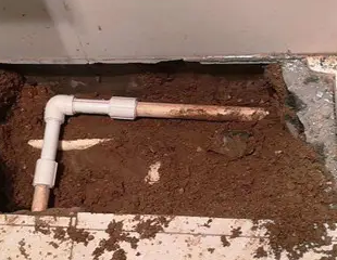 信阳市测漏水哪家好