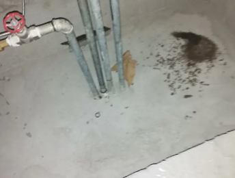 信阳市卫生间测漏水价格明细